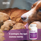 Multical Plus 90  ".. vitamine e minerali per il cane adulto ... "