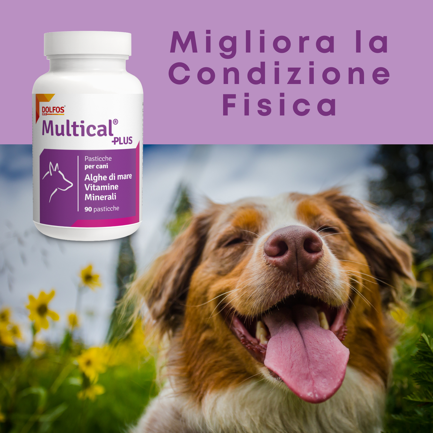 Multical Plus 90  ".. vitamine e minerali per il cane adulto ... "