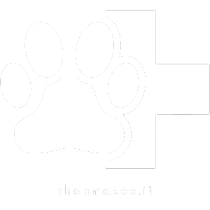 shopmazoo