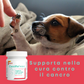 Carcifin mini 60 - Supporto nella terapia del cancro